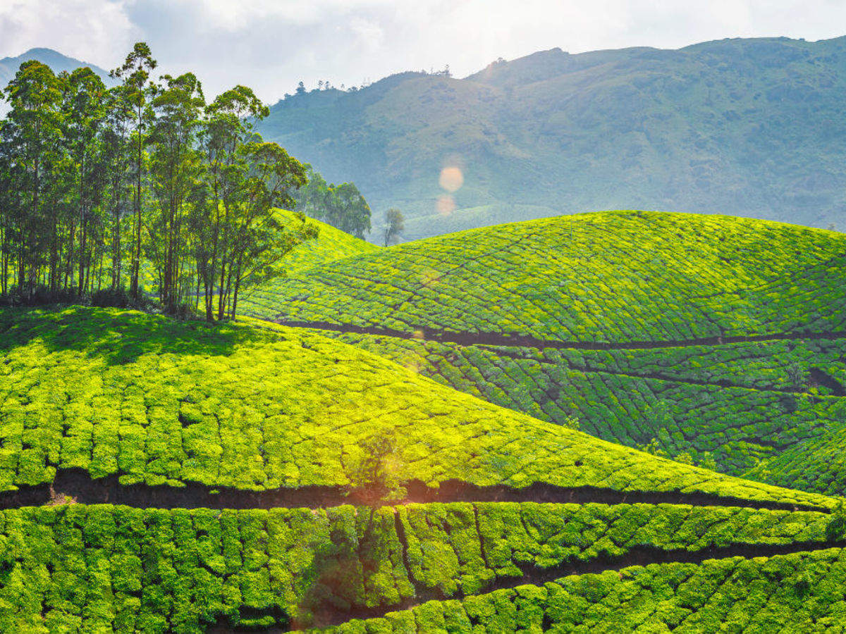 Coonoor