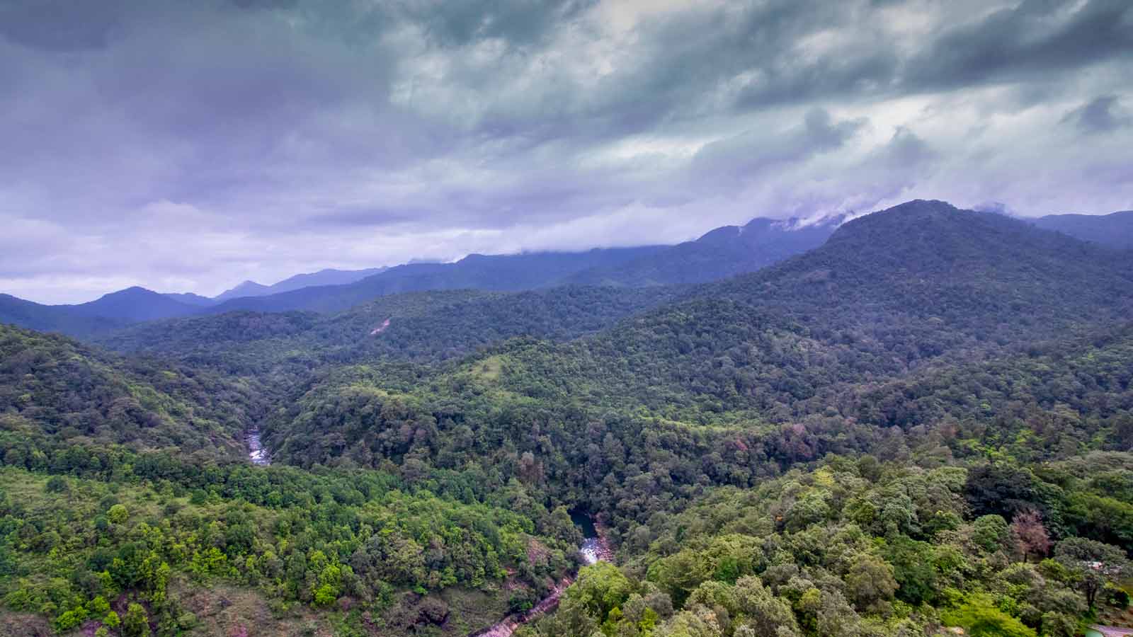 Silent Valley View