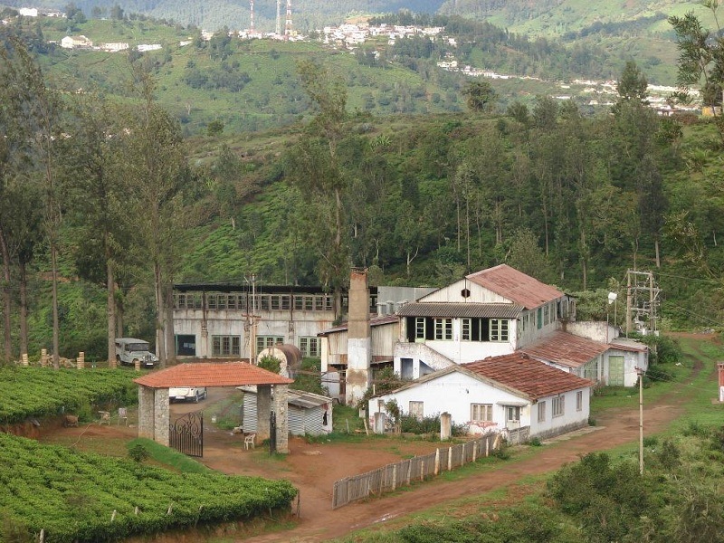 Tea Museum / Tea Factory, Ooty