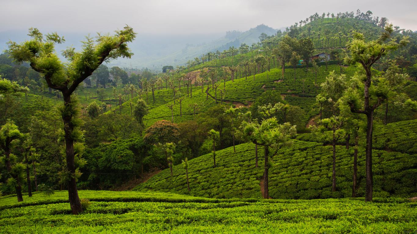 valparai